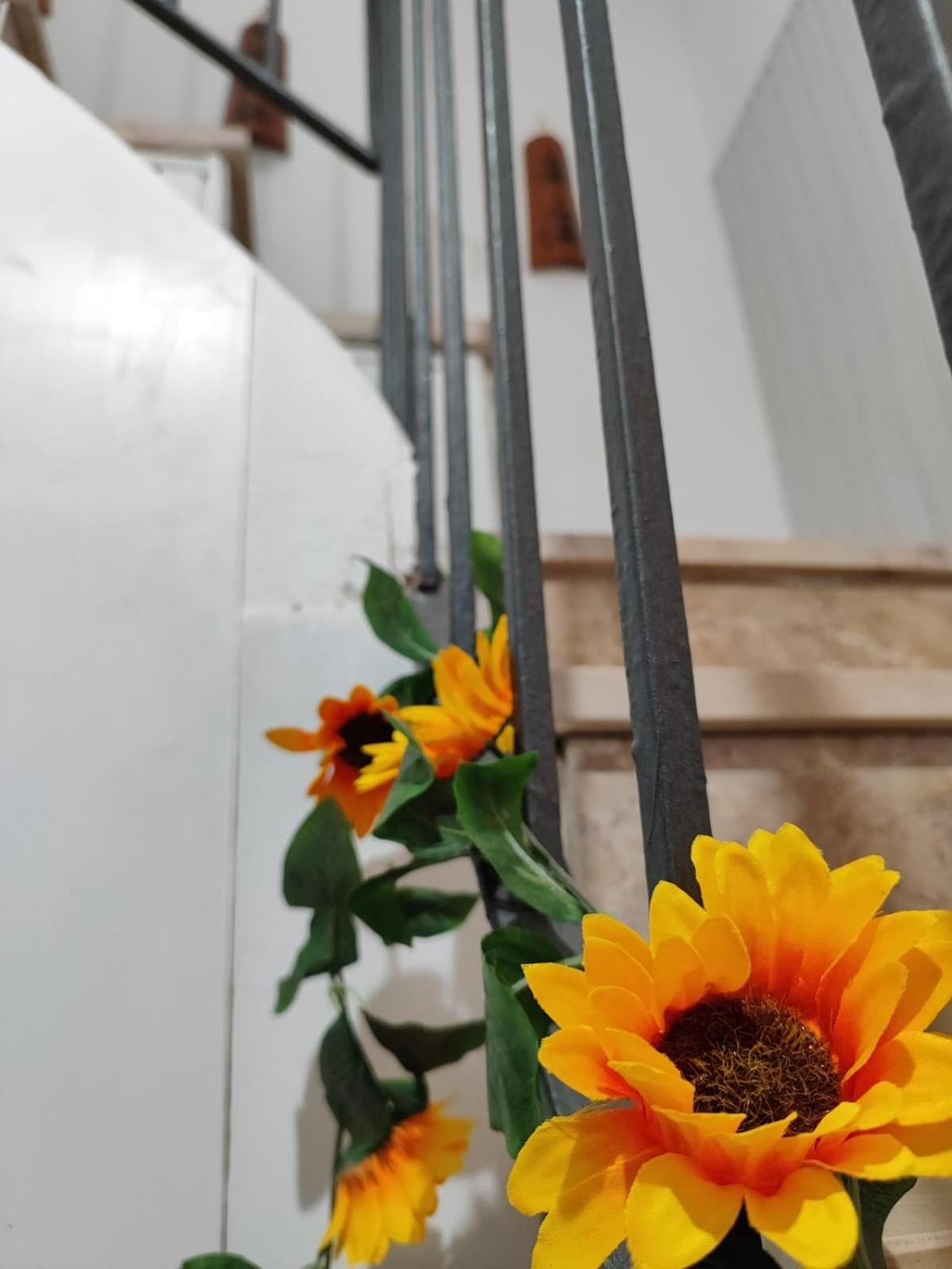Casa Vacanze Con Giardino I Girasoli - Cin It 09006 - 9 C 2000 R4042- Sorso Exterior foto